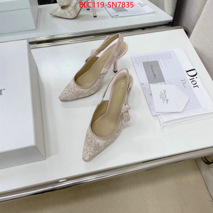 Women Shoes-Dior,styles & where to buy , ID: SN7835,$: 119USD