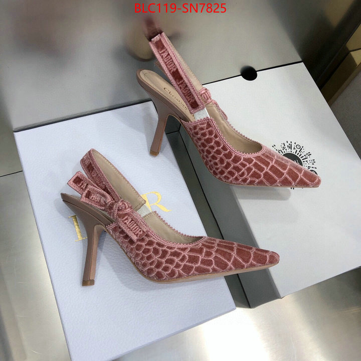 Women Shoes-Dior,buy 1:1 , ID: SN7825,$: 119USD