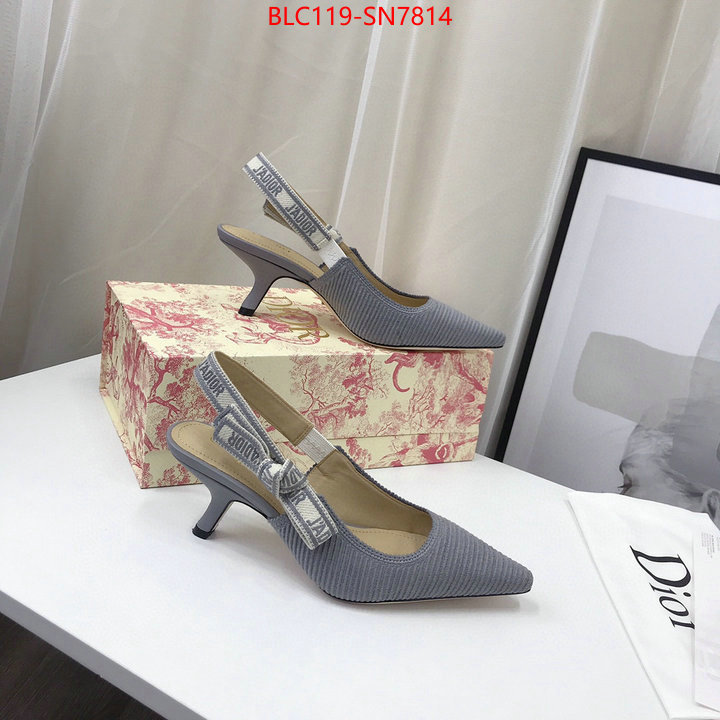 Women Shoes-Dior,how to find replica shop , ID: SN7814,$: 119USD