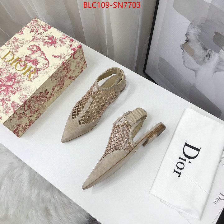 Women Shoes-Dior,what are the best replica , ID: SN7703,$: 109USD