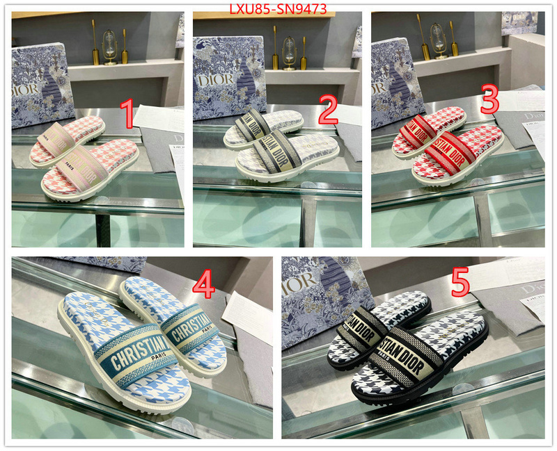Women Shoes-Dior,sellers online , ID: SN9473,$: 85USD