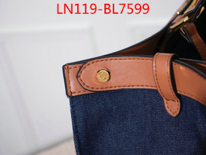 Fendi Bags(4A)-Handbag-,7 star collection ,ID: BL7599,$: 119USD