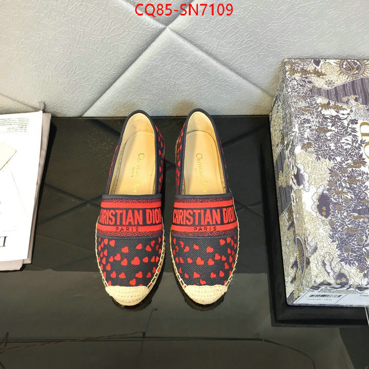 Women Shoes-Dior,online from china , ID: SN7109,$: 85USD