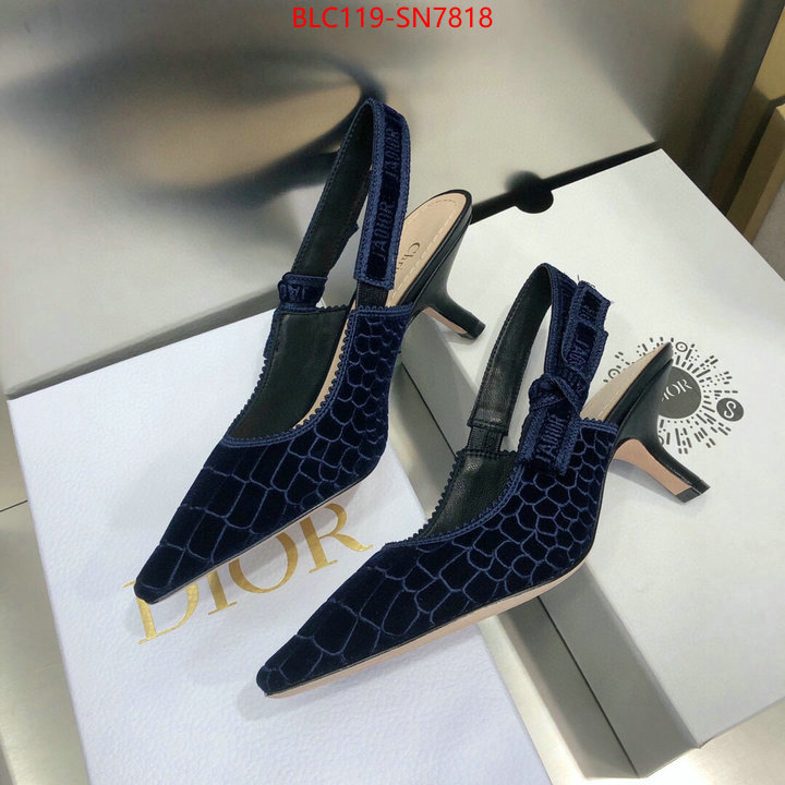 Women Shoes-Dior,aaaaa+ quality replica , ID: SN7818,$: 119USD