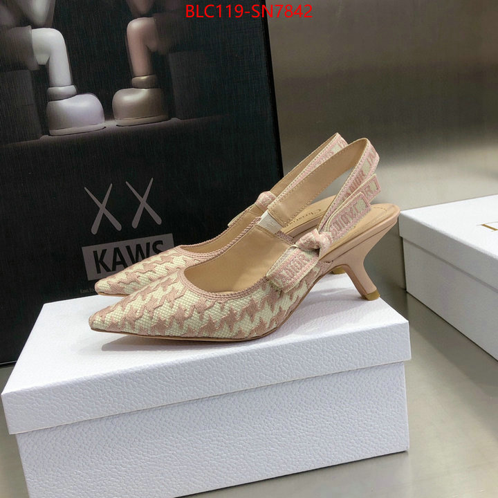 Women Shoes-Dior,designer 7 star replica , ID: SN7842,$: 119USD