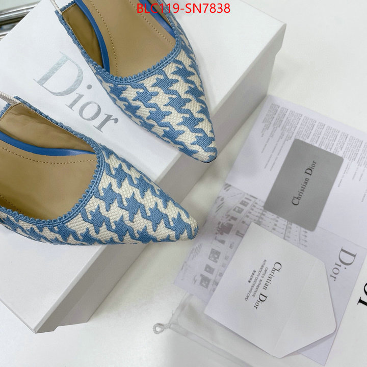 Women Shoes-Dior,can i buy replica , ID: SN7838,$: 119USD