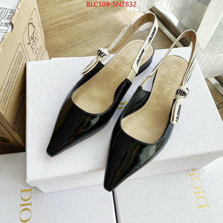 Women Shoes-Dior,2023 replica , ID: SN7832,$: 109USD
