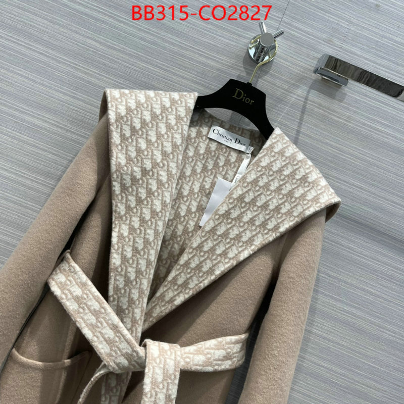 Down jacket Women-Dior,cheap wholesale , ID: CO2827,$: 315USD