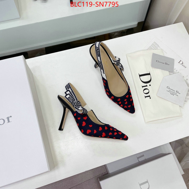 Women Shoes-Dior,what best replica sellers , ID: SN7795,$: 119USD