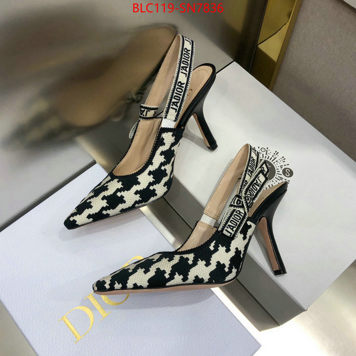 Women Shoes-Dior,what's the best to buy replica , ID: SN7836,$: 119USD