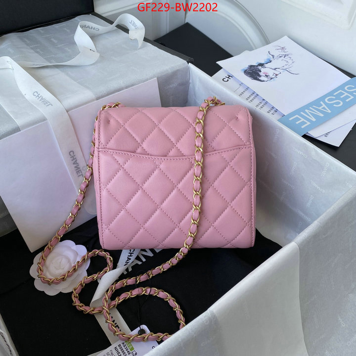 Chanel Bags(TOP)-Diagonal-,ID: BW2202,$: 229USD