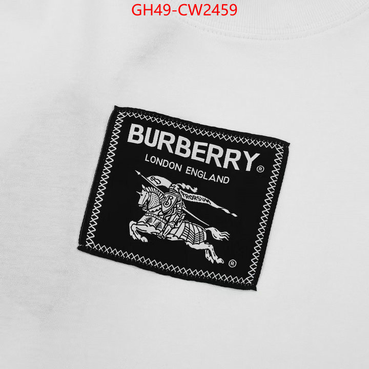 Clothing-Burberry,2023 perfect replica designer , ID: CW2459,$: 49USD