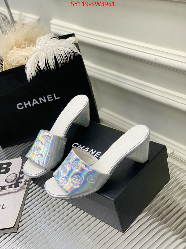 Women Shoes-Chanel,best site for replica , ID: SW3951,$: 119USD