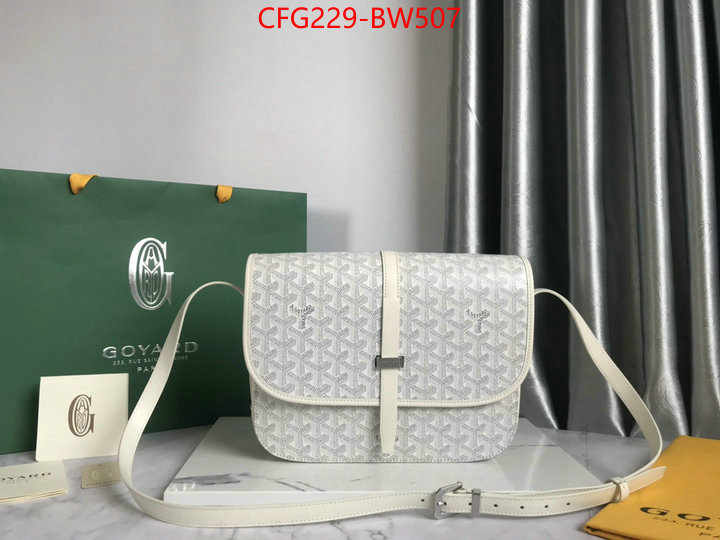 Goyard Bags(TOP)-Diagonal-,ID: BW507,$: 229USD