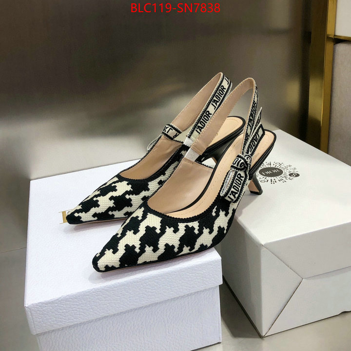 Women Shoes-Dior,can i buy replica , ID: SN7838,$: 119USD