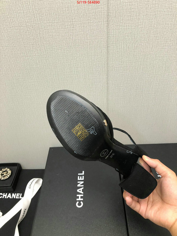 Women Shoes-Chanel,how to buy replica shop , ID: SE4890,$: 119USD