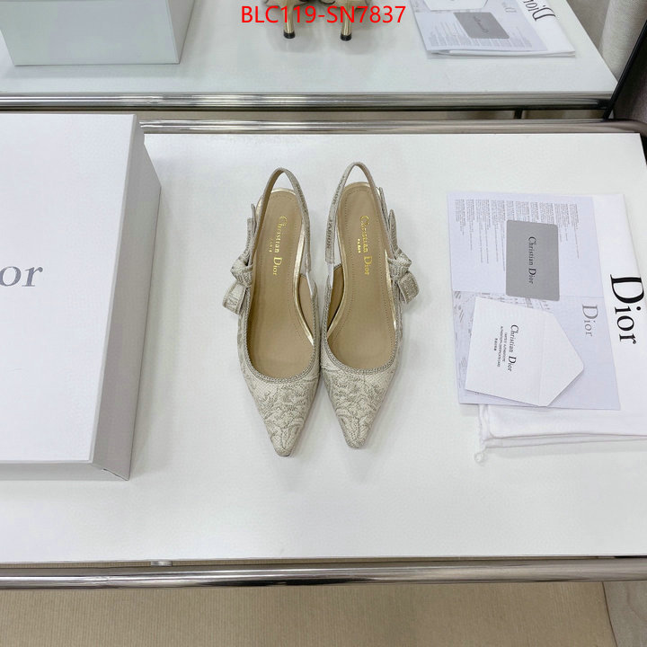 Women Shoes-Dior,replicas , ID: SN7837,$: 119USD