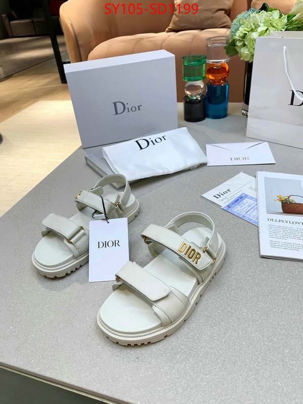 Women Shoes-Dior,online from china designer , ID: SD1199,$: 105USD