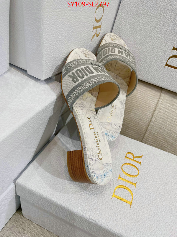 Women Shoes-Dior,shop the best high authentic quality replica , ID: SE2797,$: 109USD