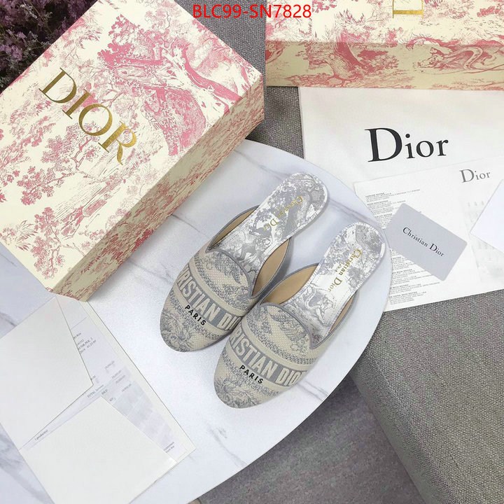 Women Shoes-Dior,1:1 replica wholesale , ID: SN7828,$: 99USD