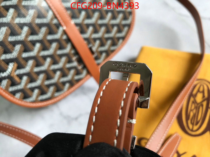 Goyard Bags(TOP)-Diagonal-,ID: BN4393,$: 209USD