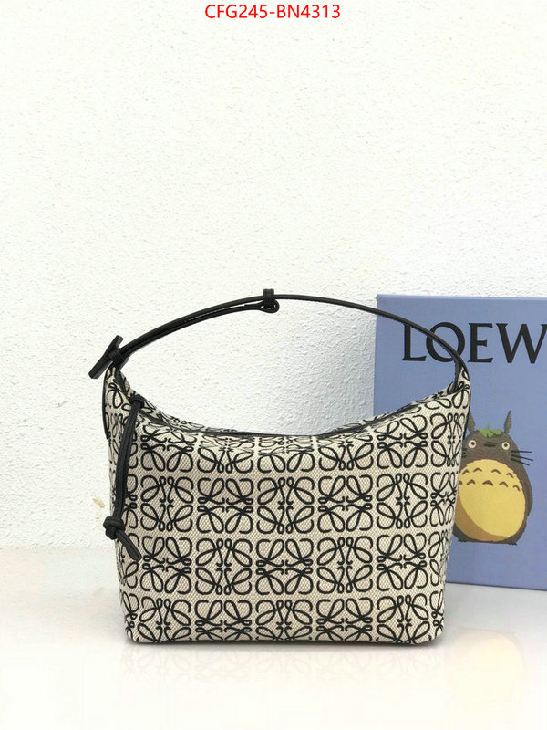 Loewe Bags(TOP)-Cubi,where can i buy ,ID: BN4313,$: 245USD