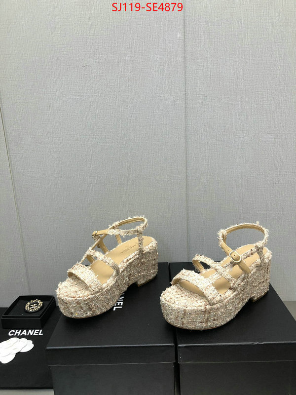 Women Shoes-Chanel,cheap replica designer , ID: SE4879,$: 119USD