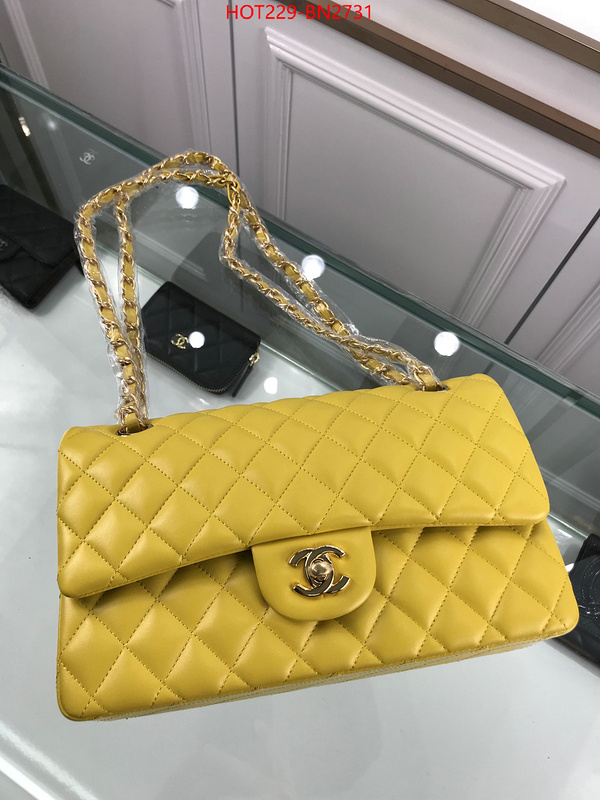 Chanel Bags(TOP)-Diagonal-,ID: BN2731,$: 229USD