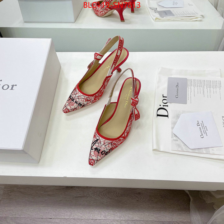 Women Shoes-Dior,designer wholesale replica , ID: SN7813,$: 119USD