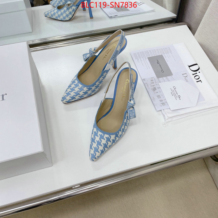 Women Shoes-Dior,what's the best to buy replica , ID: SN7836,$: 119USD