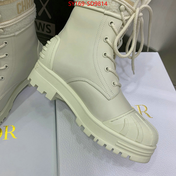 Women Shoes-Dior,is it ok to buy , ID: SD9814,$: 169USD