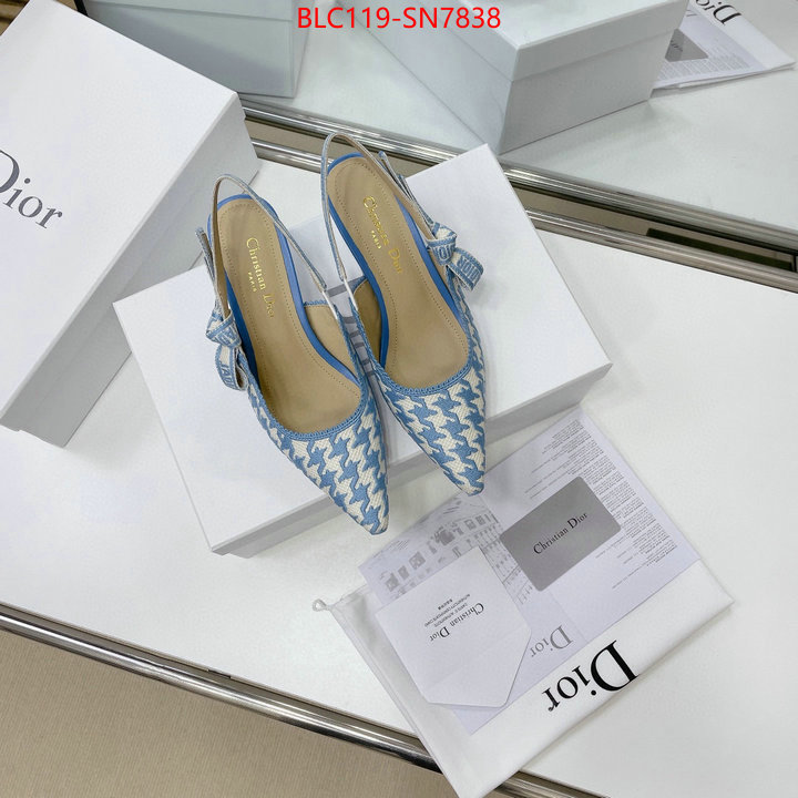 Women Shoes-Dior,can i buy replica , ID: SN7838,$: 119USD