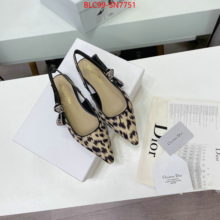 Women Shoes-Dior,the best quality replica , ID: SN7751,$: 99USD