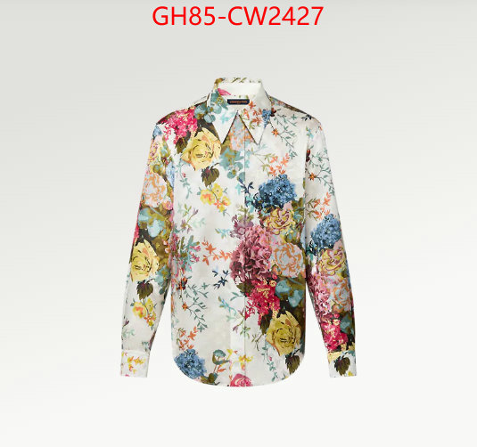 Clothing-LV,luxury fashion replica designers , ID: CW2427,$: 85USD