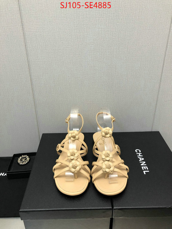 Women Shoes-Chanel,can i buy replica , ID: SE4885,$: 105USD