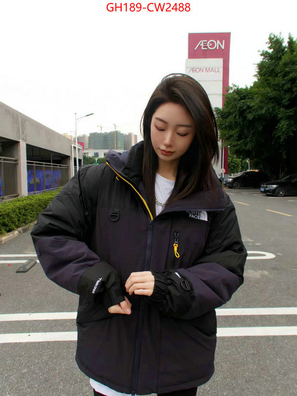 Down jacket Women-The North Face,best wholesale replica , ID: CW2488,$: 189USD