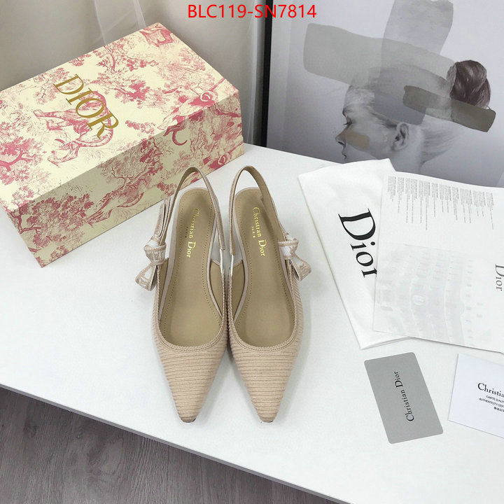 Women Shoes-Dior,how to find replica shop , ID: SN7814,$: 119USD