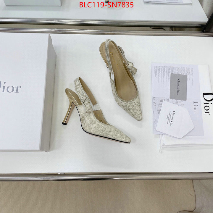 Women Shoes-Dior,styles & where to buy , ID: SN7835,$: 119USD