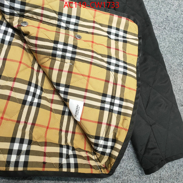 Down jacket Women-Burberry,best quality replica , ID: CW1733,$: 119USD
