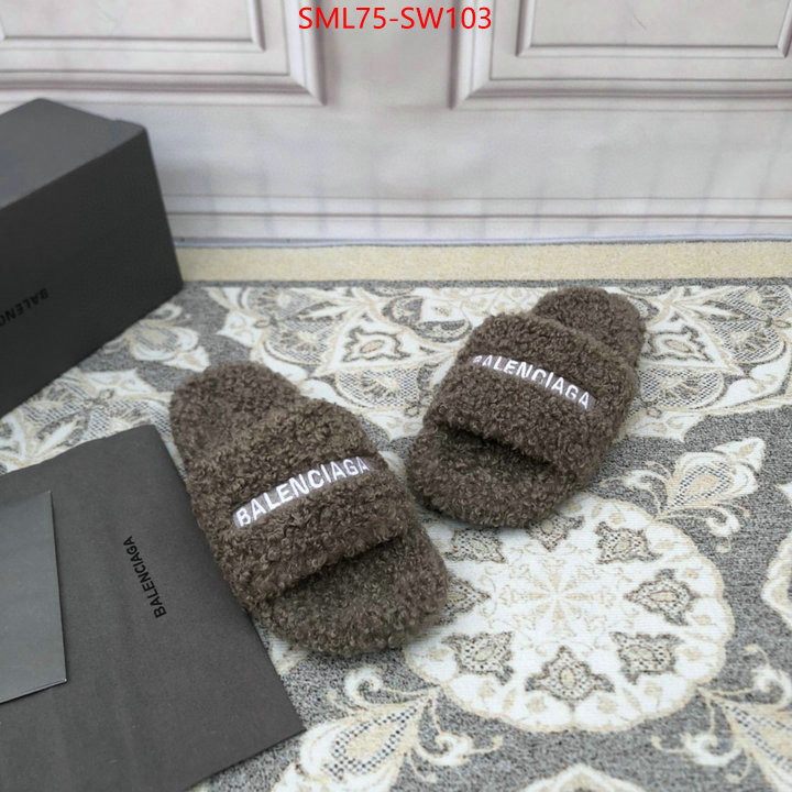 Women Shoes-Balenciaga,fake high quality , ID: SW103,$: 75USD