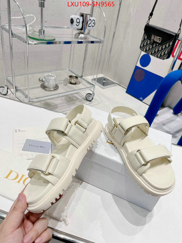 Women Shoes-Dior,perfect quality designer replica , ID: SN9565,$: 109USD
