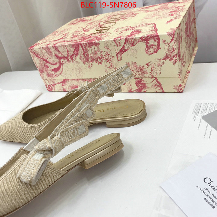 Women Shoes-Dior,how to find replica shop , ID: SN7806,$: 119USD