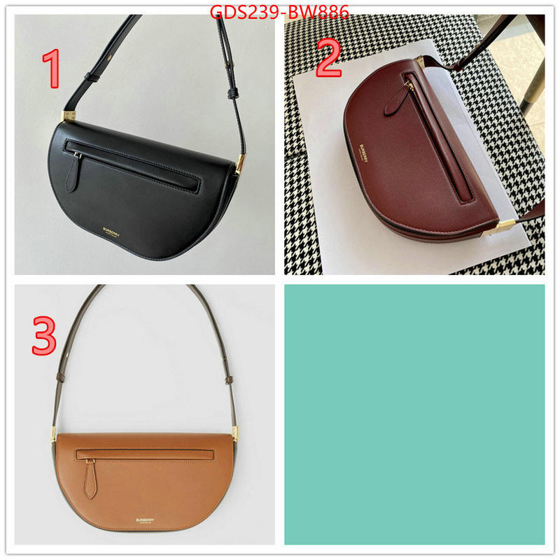 Burberry Bags(TOP)-Diagonal-,top grade ,ID: BW886,$: 239USD