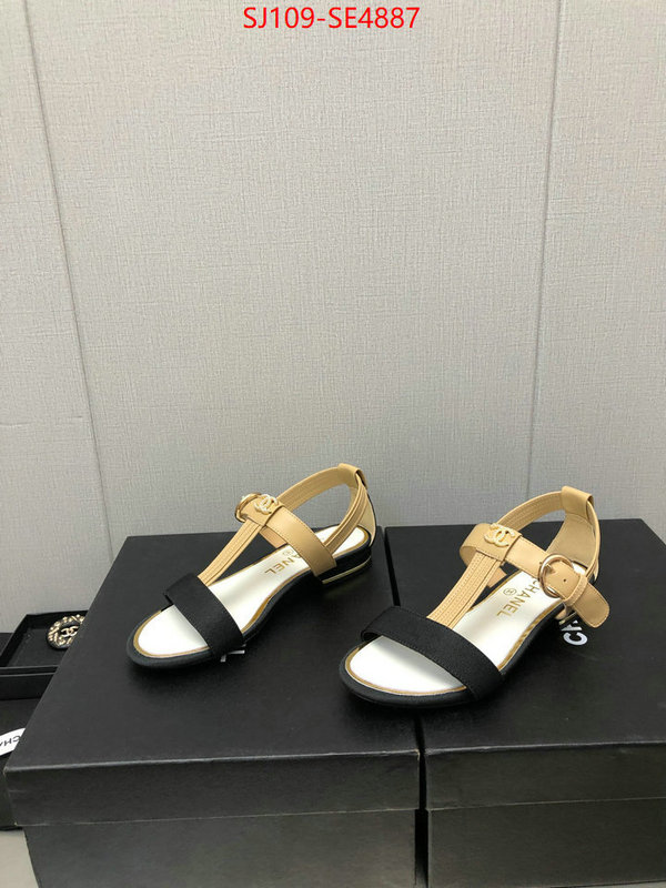 Women Shoes-Chanel,store , ID: SE4887,$: 109USD