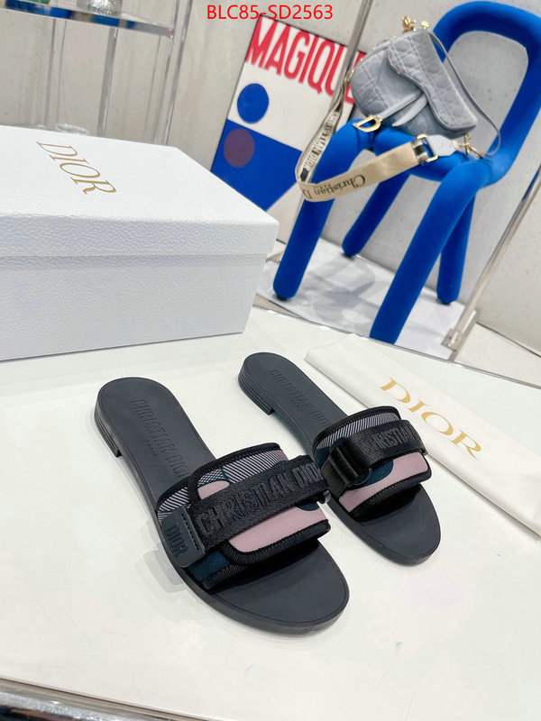 Women Shoes-Dior,high end designer , ID: SD2563,$: 85USD