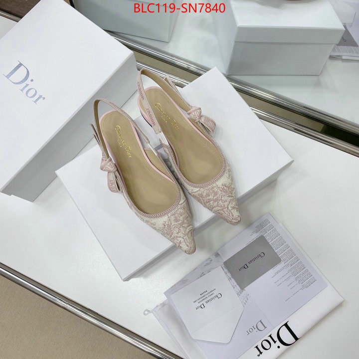 Women Shoes-Dior,replica designer , ID: SN7840,$: 119USD