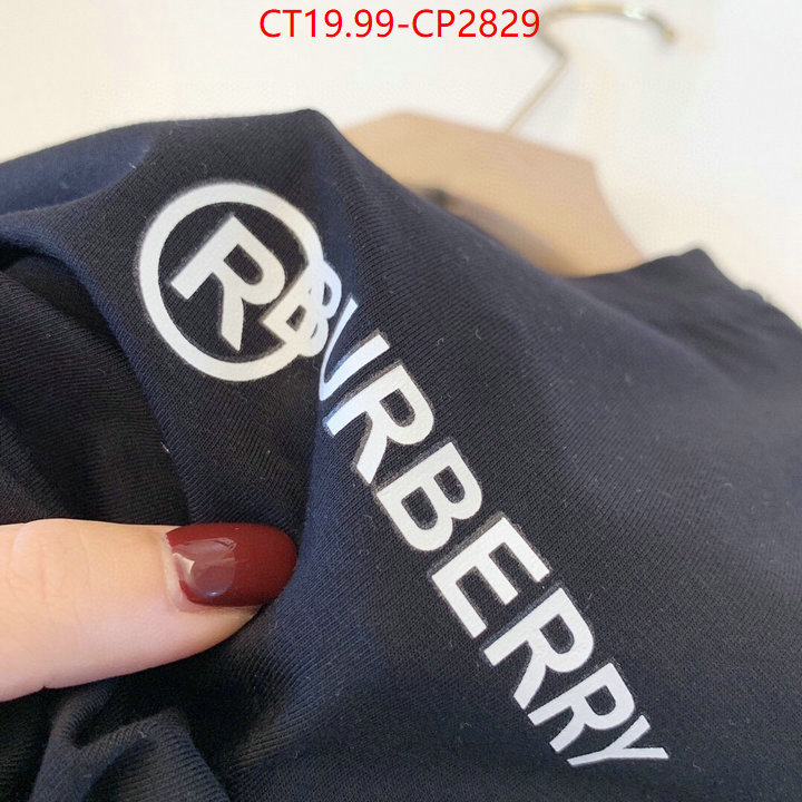 Kids clothing-Burberry,replica sale online , ID: CP2829,