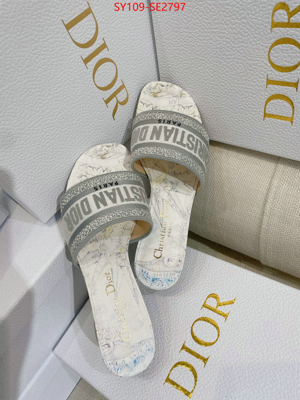 Women Shoes-Dior,shop the best high authentic quality replica , ID: SE2797,$: 109USD