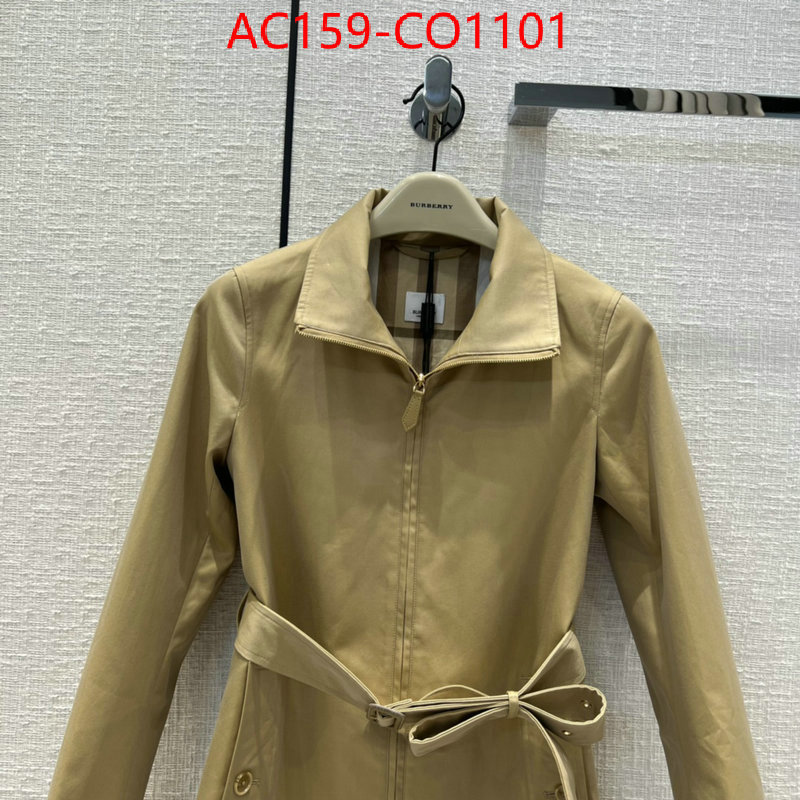 Down jacket Women-Burberry,buy 1:1 , ID: CO1101,$: 159USD