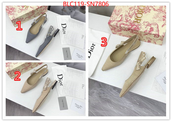 Women Shoes-Dior,how to find replica shop , ID: SN7806,$: 119USD